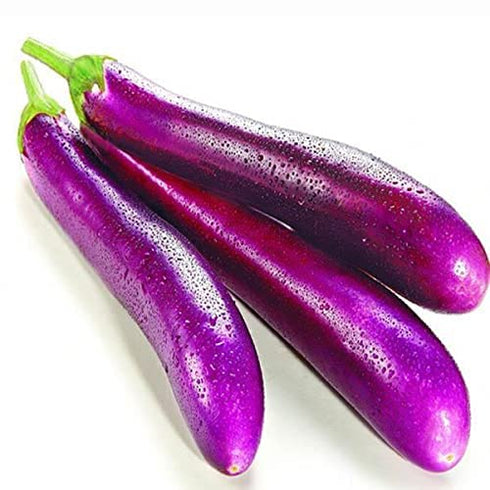 Kraft Seeds By 10Club Vegetable Brinjal Long Seeds